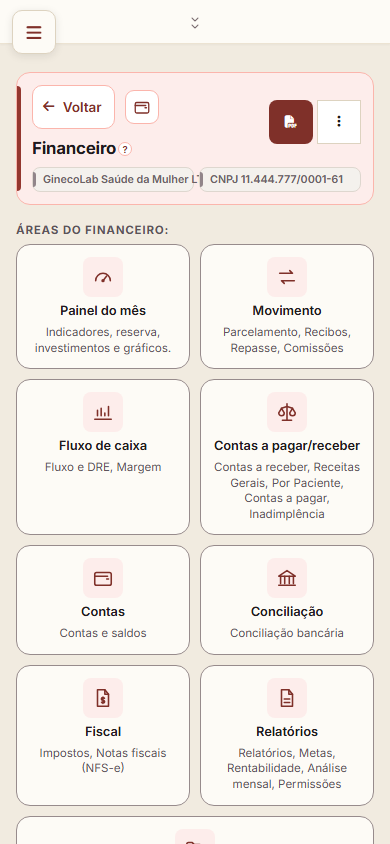 Financeiro no celular