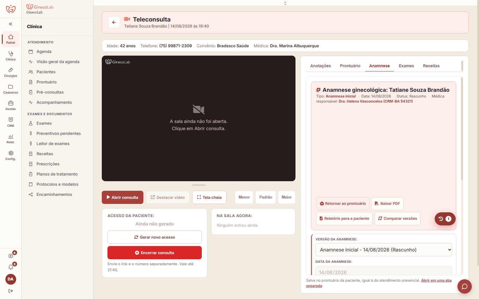 Teleconsulta do GinecoLab com a anamnese ginecológica completa ao lado do vídeo