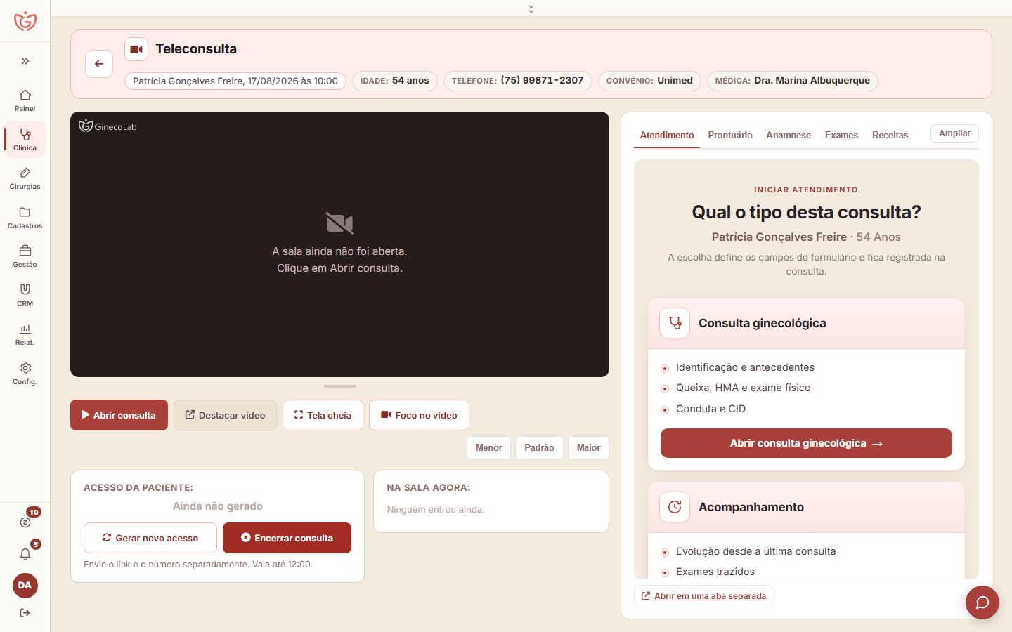 Teleconsulta do GinecoLab: sala de vídeo com o atendimento, o prontuário, a anamnese e os exames ao lado